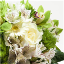 /fileuploads/Produtos/Bouquets e Ramos/thumb__Bouquet_Green_Life_03.jpg